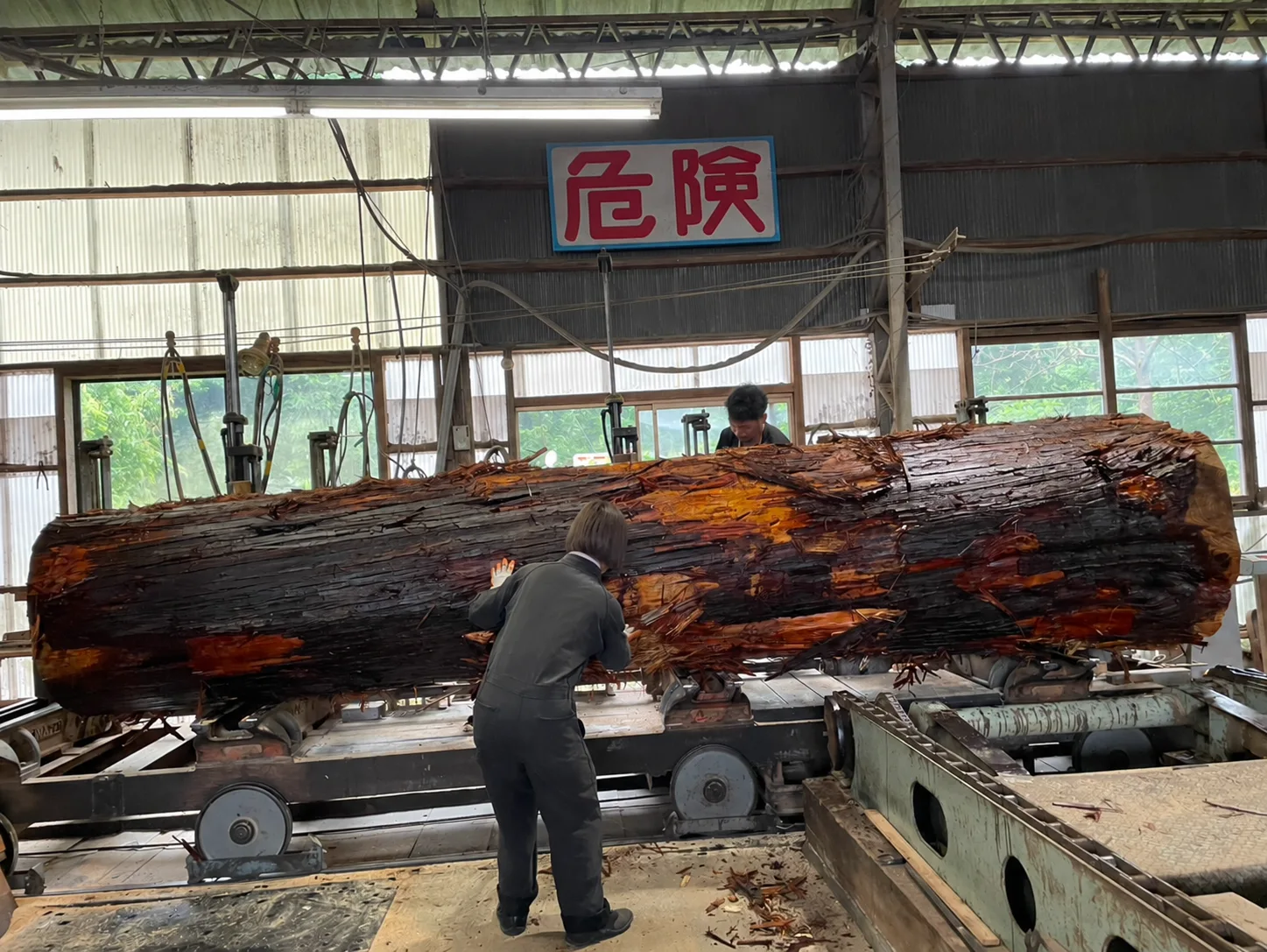 製材所で原木を扱う作業風景
